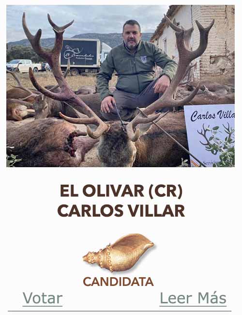 Monteria Candidata a Caracola